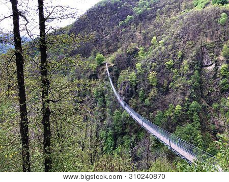Tibetan Bridge Carasc Or Ponte Tibetano Valle Di Sementina Or Tibetische Brucke Carasc, Monte Carass