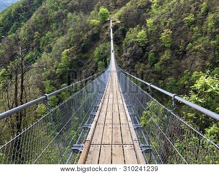 Tibetan Bridge Carasc Or Ponte Tibetano Valle Di Sementina Or Tibetische Brucke Carasc, Monte Carass