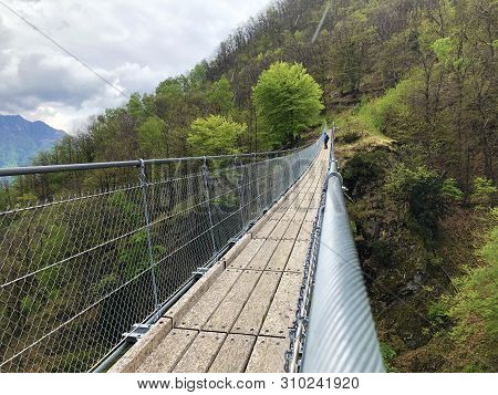 Tibetan Bridge Carasc Or Ponte Tibetano Valle Di Sementina Or Tibetische Brucke Carasc, Monte Carass