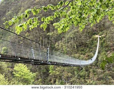 Tibetan Bridge Carasc Or Ponte Tibetano Valle Di Sementina Or Tibetische Brucke Carasc, Monte Carass