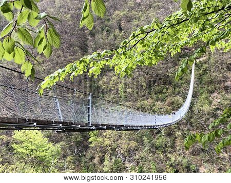 Tibetan Bridge Carasc Or Ponte Tibetano Valle Di Sementina Or Tibetische Brucke Carasc, Monte Carass