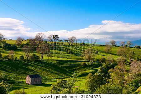 Smardale เหงือก