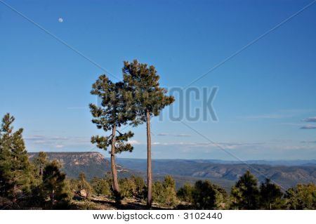 Arizona-Rim