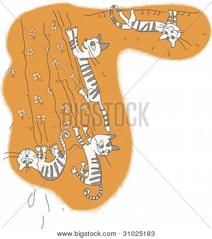 Funny cats
