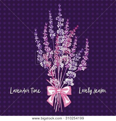 Bouquet Of Hand Drawn Color Sketch Of Lavender Flower And Cute Bows Isolated On Violet Background. F