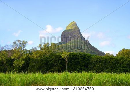 Beautiful mountain landscape with sugar cane field and Mount Rempart in Mauritius island. Indian Ocean.