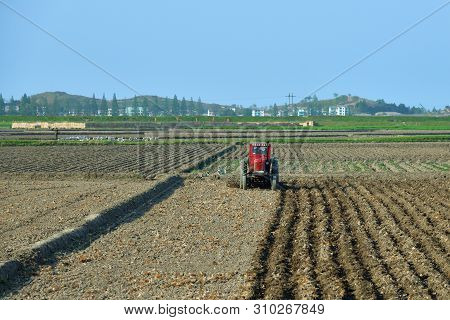 North Korea - May 4, 2019: Tractor Is Plowing Agricultural Fields. Half Of The Working Population Is