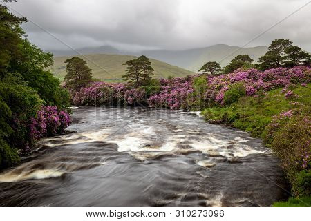 Aasleagh Falls Located On The River Erriff Just Before Killary Harbour