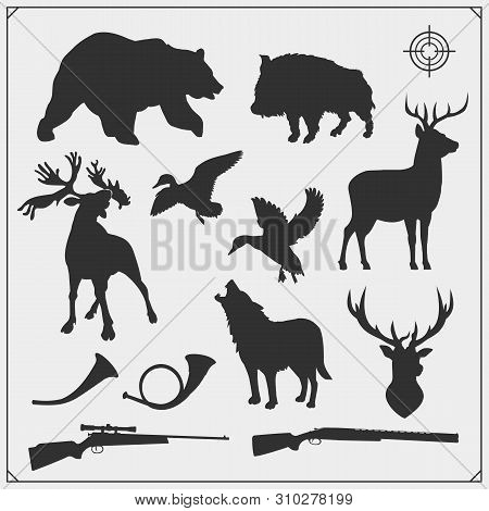 Vector Set Of Forest Animals Silhouette. Hunting Club Design.