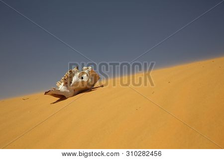 Sandy Desert.