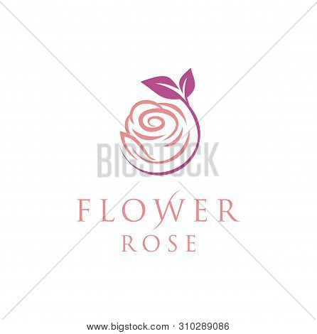 Rose Beautiful For Salon Spa Fashion Logo Design Inspiration - Vector