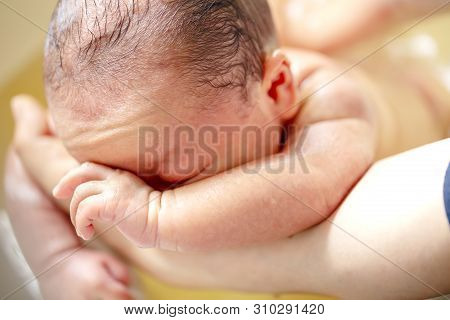 The Act Of Bathing A Newborn Baby . And Wash The Back Of A Newborn Baby. Bath Of The Decoction Of Th