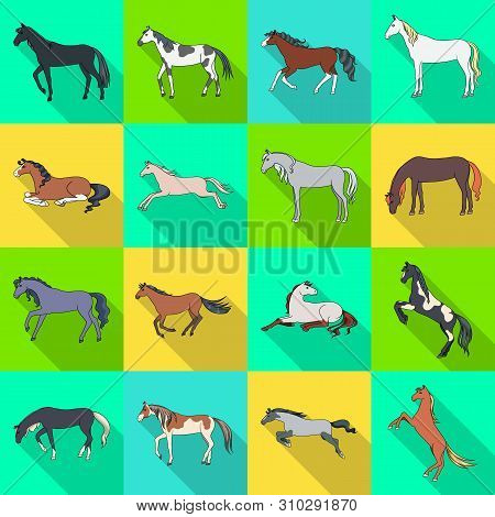Isolated Object Of Breed And Equestrian Symbol. Collection Of Breed And Mare Stock Vector Illustrati
