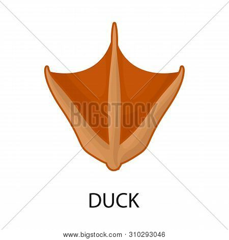 Vector Illustration Of Duck And Paw Symbol. Set Of Duck And Silhouette Stock Vector Illustration.