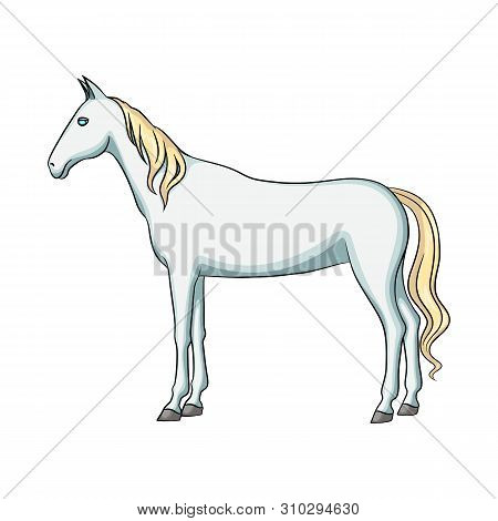 Vector Design Of Steed And White Logo. Collection Of Steed And Hoofed Vector Icon For Stock.