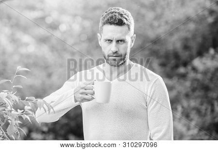 I Prefer Green Tea. Refreshing Drink. Man Bearded Tea Farmer Hold Mug Nature Background. Green Tea C