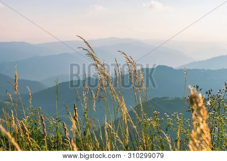 Mountain Range Nature Landscape. Mountain Layers Landscape. Summer In Mountain Meadow Landscape. Mea