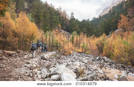 A Group Of Trekkers Heading To Samagau Valley On Manaslu Circuit With View Of Mount Manaslu Range 8 