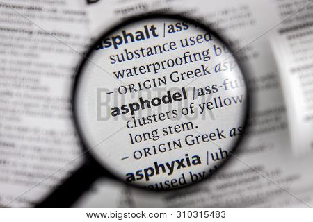 The Word Or Phrase Asphodel In A Dictionary Book.