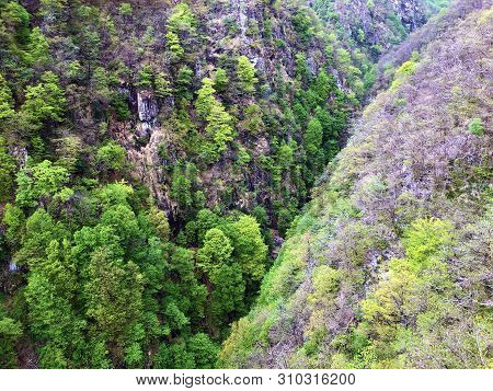 Canyon Of The River Sementina Or Valle Di Sementina, Monte Carasso - Canton Of Ticino, Switzerland