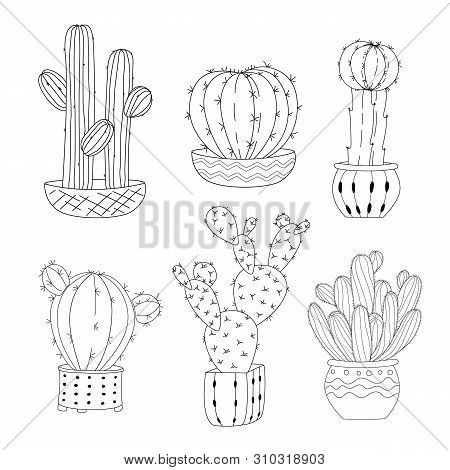 Set Of Cute Hand Drawn Cacti On White Background. Vector Icons In Black And White Sketch Style. Hand