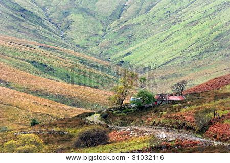 Irish Autumn Landscape