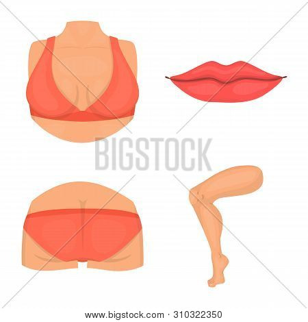 Vector Design Of Body And Part Sign. Collection Of Body And Anatomy Vector Icon For Stock.