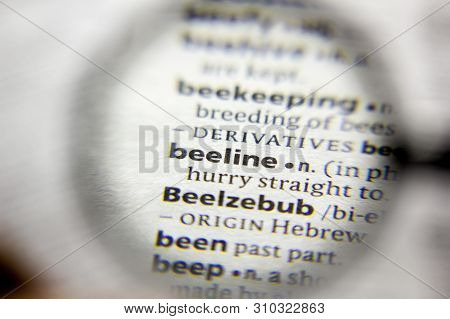 The Word Or Phrase Beeline In A Dictionary
