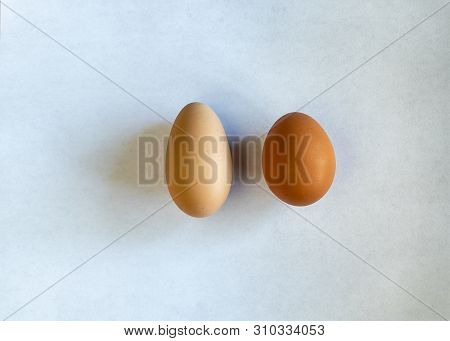 A Very Long, Narrow Egg Besides A Normal Egg, Both Brown. Laying On A White Piece Of Paper, Comparis