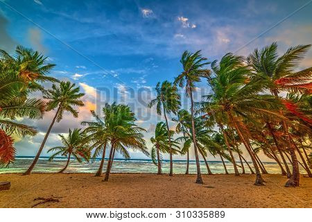 Colorful Sunset In Bois Jolan Beach In Guadeloupe, French West Indies. Lesser Antilles, Caribbean Se