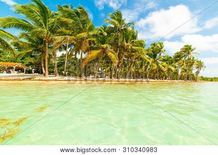 Bois Jolan Beach In Guadeloupe, French West Indies. Lesser Antilles, Caribbean Sea