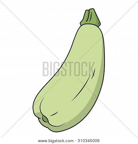 Funny Squash In Cartoon Style. Concept Fruits And Vegetables. Summer