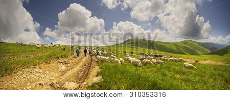 A Flock Of Sheep On A Mountain