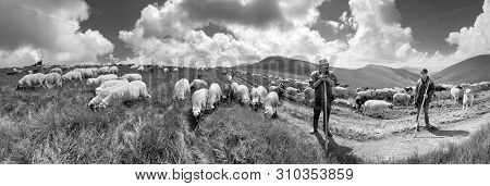 A Flock Of Sheep On A Mountain