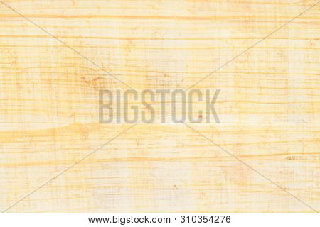 Real Egypt Papyrus Paper Diagonal Background And Texture Number 31. Close Up Macro.