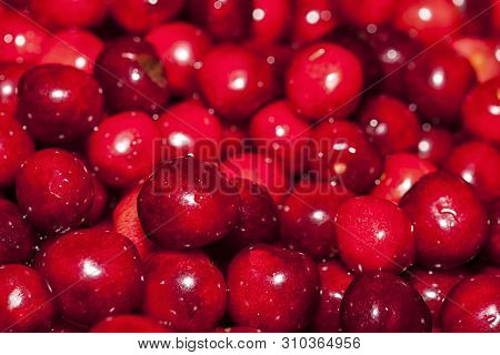 Close Up Of Cherries. Full Frame Of Red Cherries.