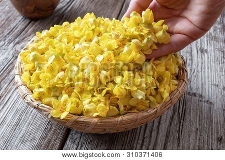 Fresh Denseflower Mullein Flowers In A Basket
