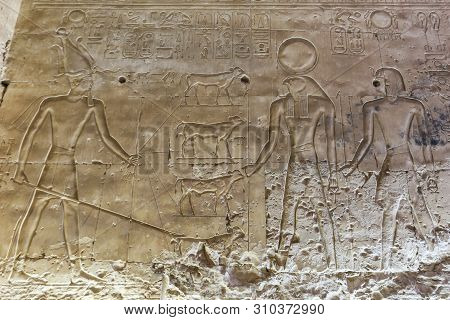 Scene From Abydos Temple In Madfuna, Egypt