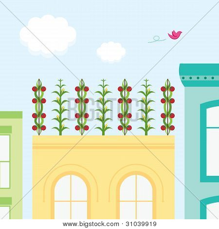 Rooftop Garden