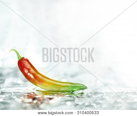 Fresh Chili pepper in red, yellow, and green