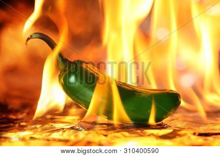 Spicy green Jalapeno pepper on fire