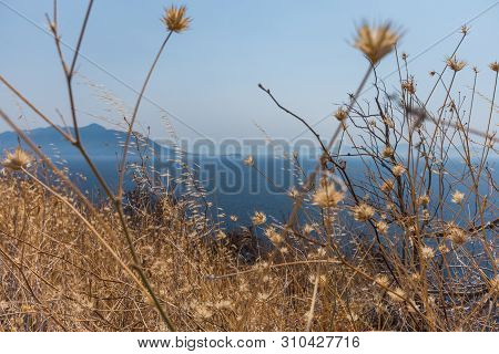 Beautiful Dalmatian Coast, Trstenik, Dalmatia, Croatia, Peljesac Peninsula