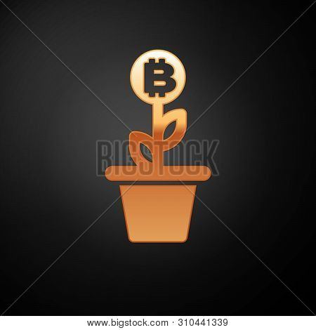 Gold Bitcoin Plant In The Pot Icon Isolated On Black Background. Business Investment Growth Concept.