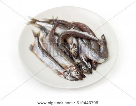 Pile Of Whole Defrosted Uncooked Capelin On Dish On A White Background
