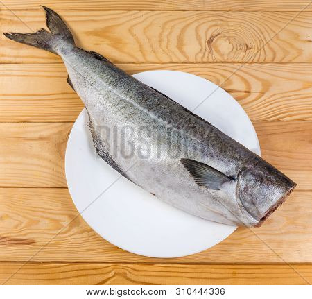 Raw Carcass Of Saithe, Also Known As Coalfish Without Head, Cleaned From Scales On Dish On The Rusti