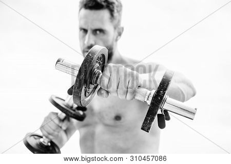 Man Sportsman Weightlifting. Athletic Body. Dumbbell Gym. Success. Perfect Biceps. Muscular Man Exer