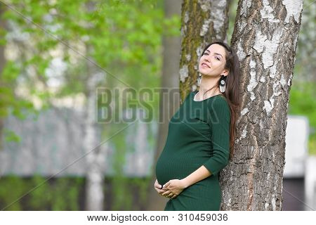 Portrait Of A Beautiful Pregnant Brunette. Young Beautiful Pregnant Woman With Long Dark Hair.