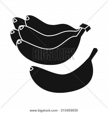Vector Illustration Of Banana And Bunch Symbol. Set Of Banana And Fruit Vector Icon For Stock.