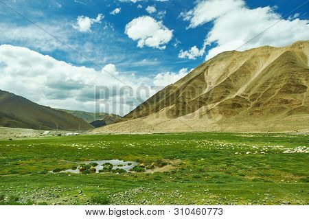 Gorge Holoyn Havzal, Bajan-olgij, Mongolia, 
Nomad Camp