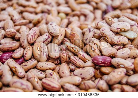 Pile Of Beans, Making A Luch, Kitchen